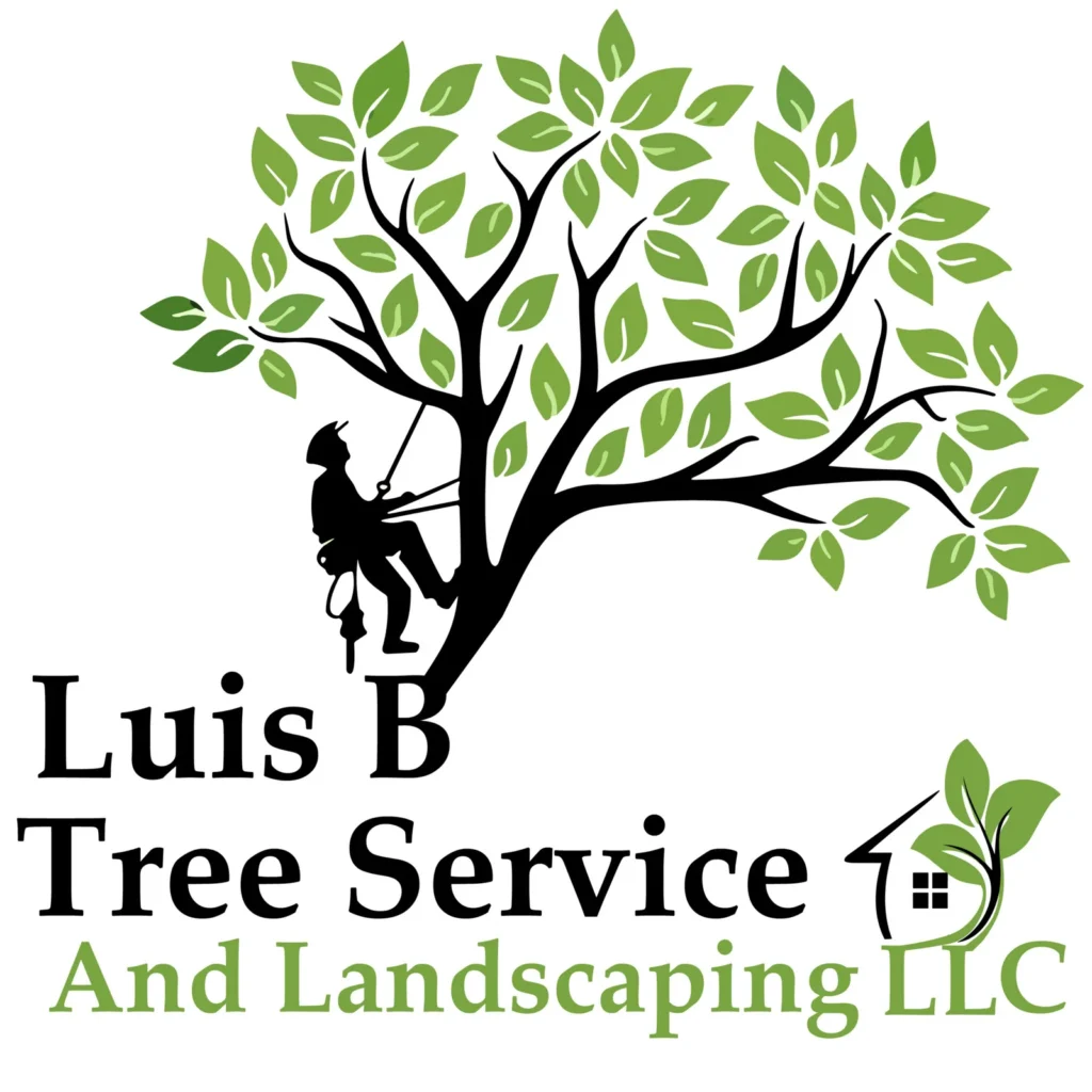 Luis B Tree Service and Landscaping LLC cover