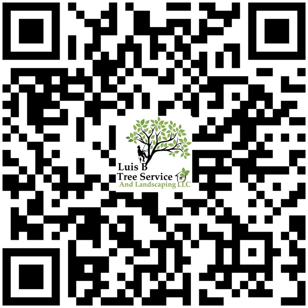 qr Mesa de trabajo 1 2048x2048